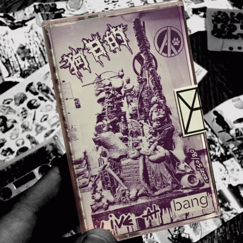 Gouride : Live at Bang